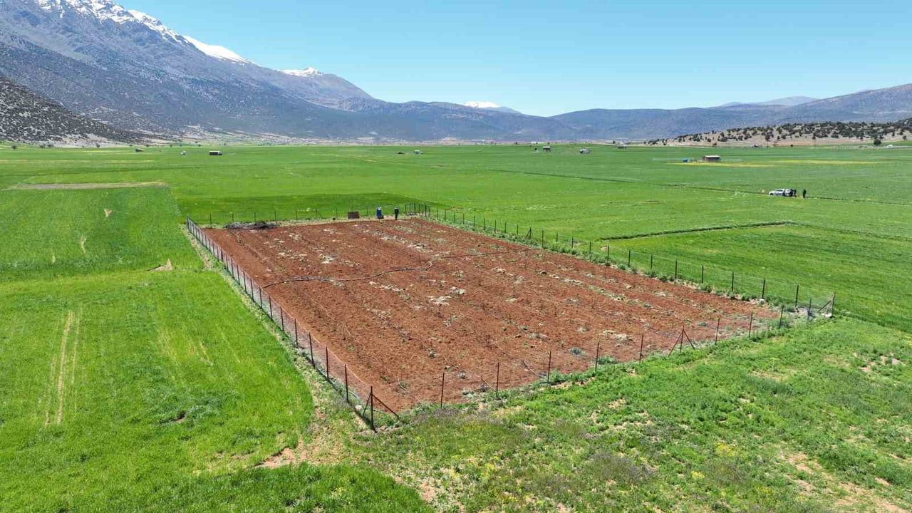 Antalya'da Modern Sulama Tesisleriyle Tarımsal Üretim Artıyor