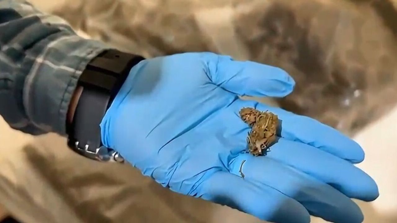 Antalya’da Narkotik Operasyonu: 4 Kişi Tutuklandı