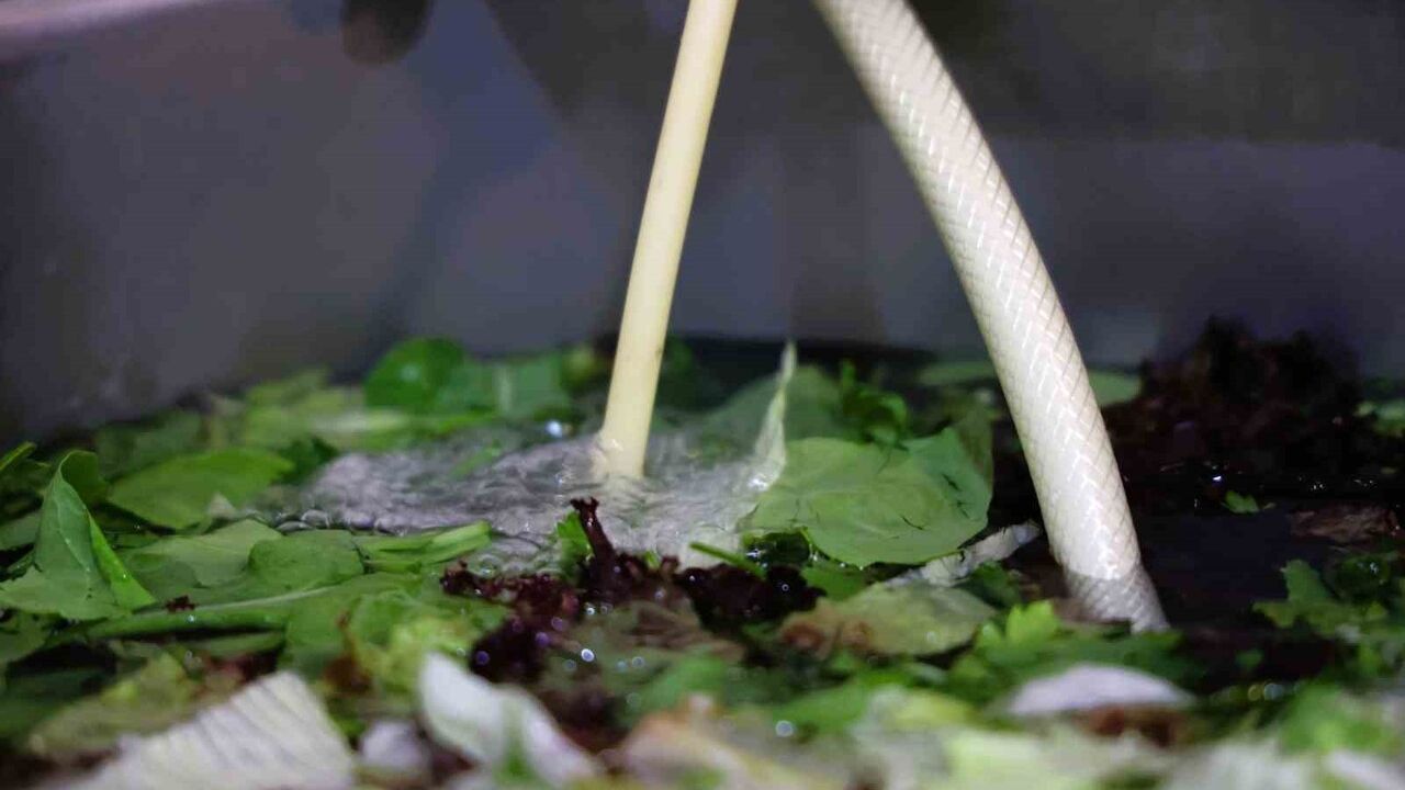 Antalya'da Sebze ve Meyveler Ozonlu Su ile Dezenfekte Ediliyor