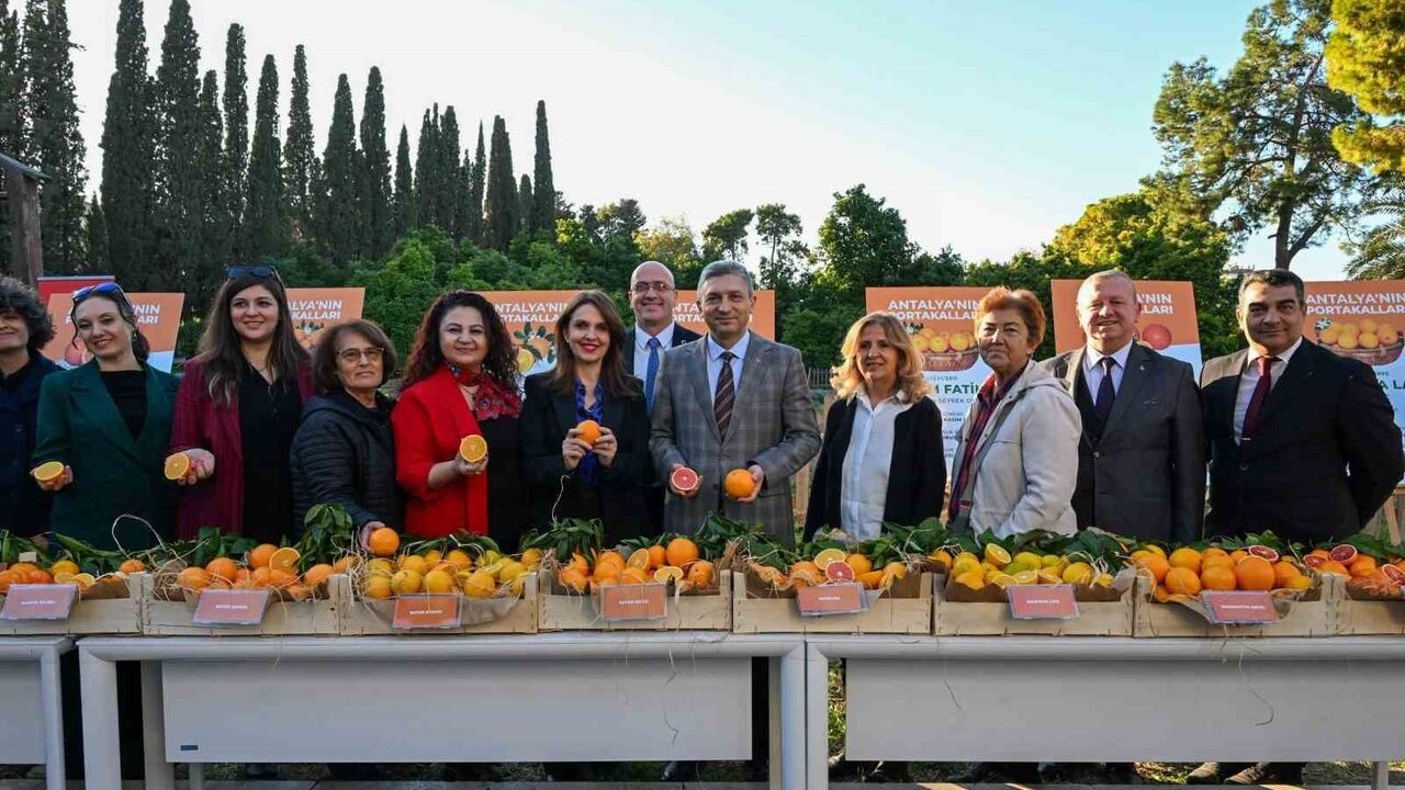 Antalya Portakalları Dünya Pazarında Tanıtıldı