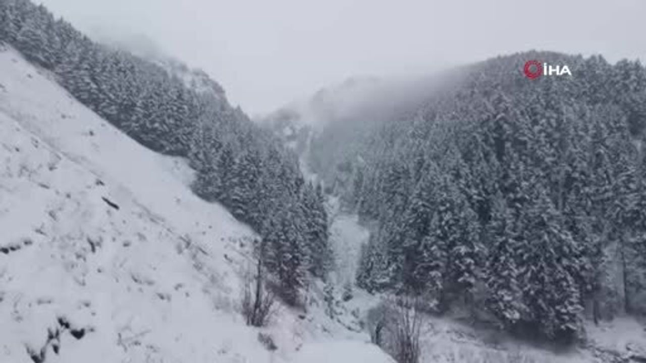 Anzer Yaylası'nda Kar Yağışı Doğayı Beyaza Bürüdü