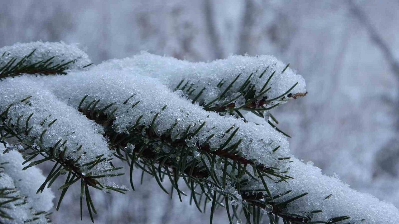 Ardahan Beyaza Büründü: Kar Yağışı Şehre Güzellik Getirdi
