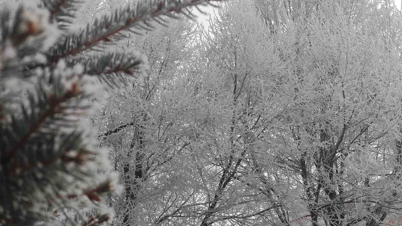 Ardahan'da Dondurucu Soğuklar Etkisini Artırıyor
