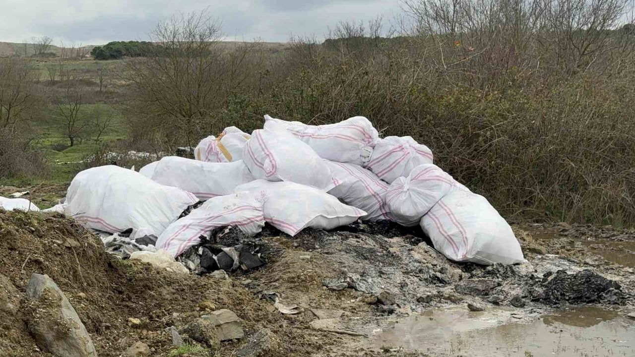 Arnavutköy'de Kaçak Döküm Krizi: Doğa Tehlikede