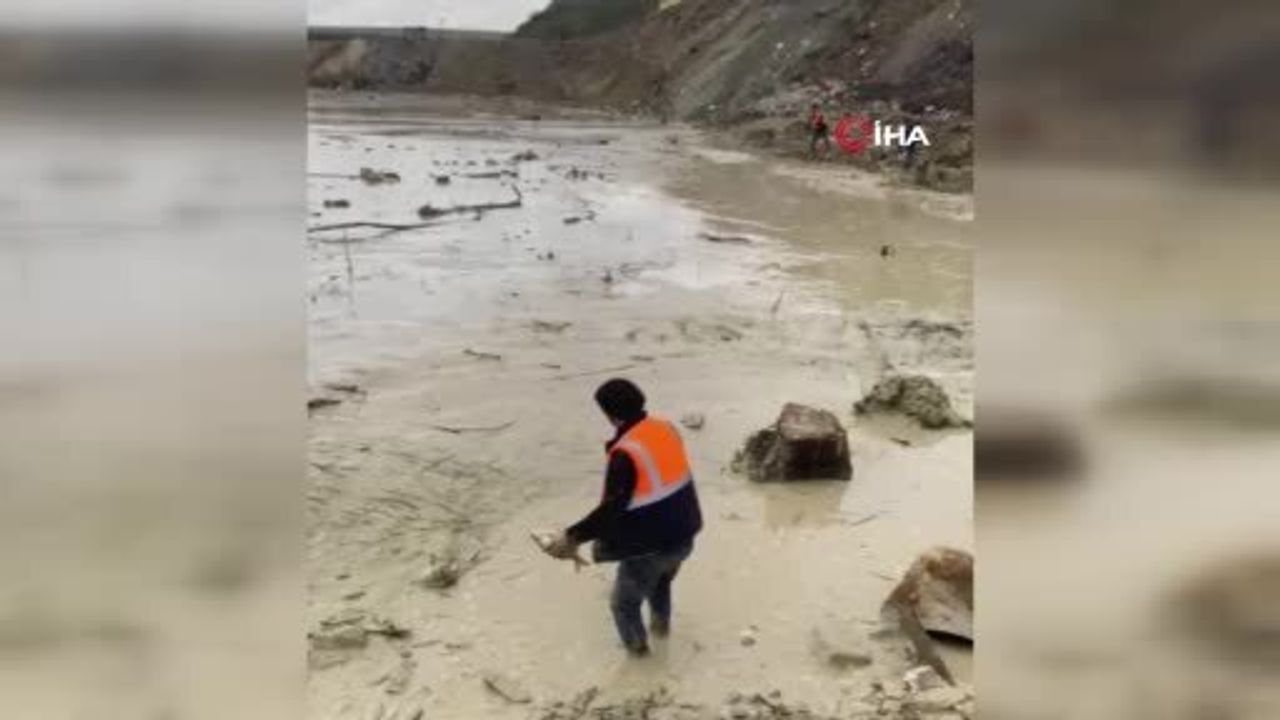 Arnavutköy'deki Mavi Göl'de Balıkların Yaşam Mücadelesi