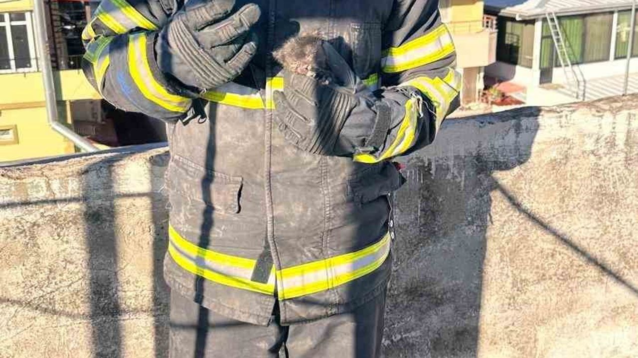 Arsuz'da Havalandırma Boşluğunda Mahsur Kalan Yavru Kedi Kurtarıldı