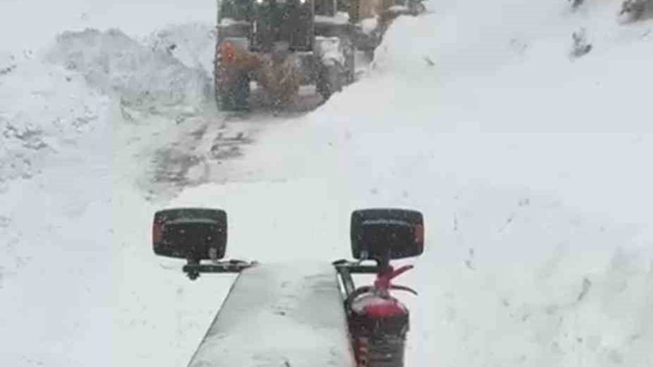 Artvin'de Çığ Faciası: 3 Çoban Tehlikede