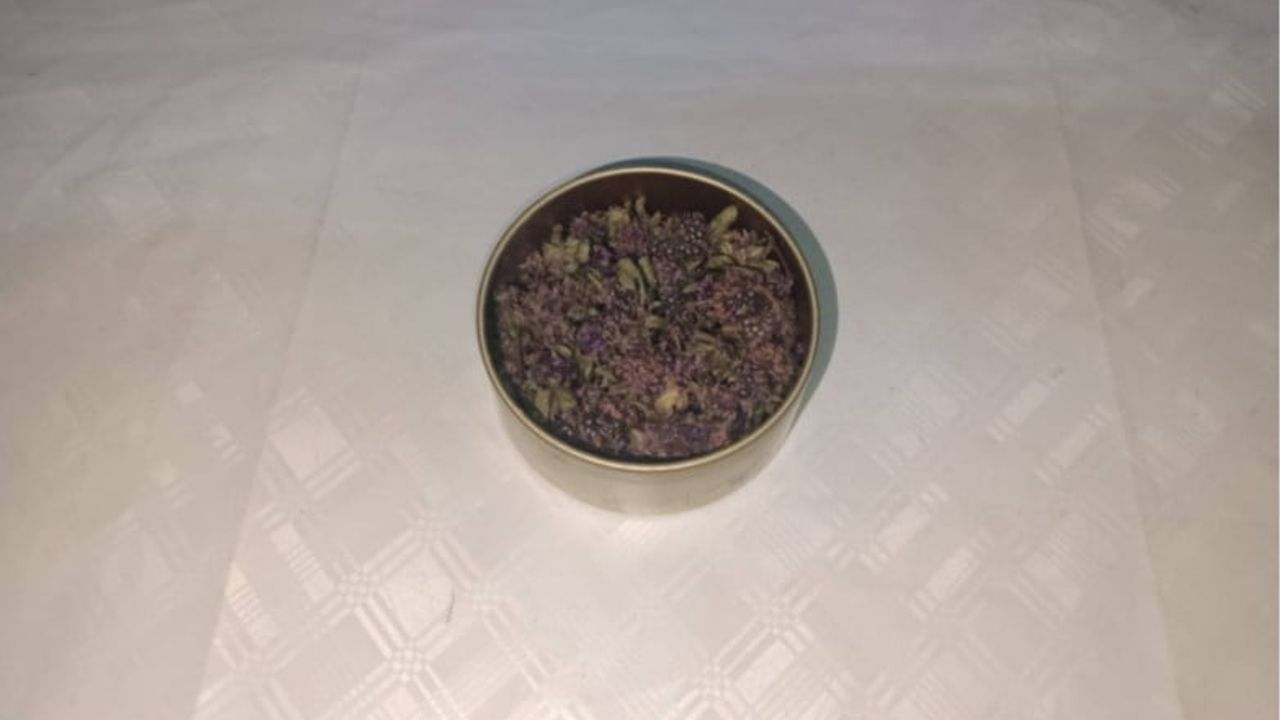 Artvin'de Endemik Yayla Çayı Çiçeği Kaçakçılığına Jandarma Müdahalesi