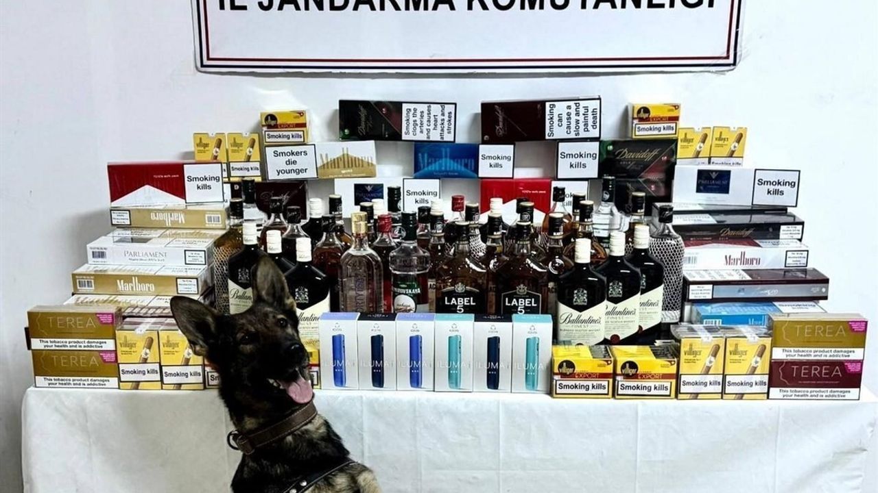 Artvin'de Jandarmadan Kaçakçılığa Operasyon