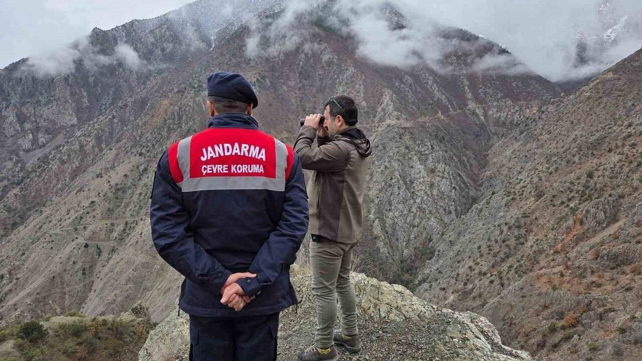 Artvin'de Kaçak Avcılığa Yönelik Denetimler Devam Ediyor