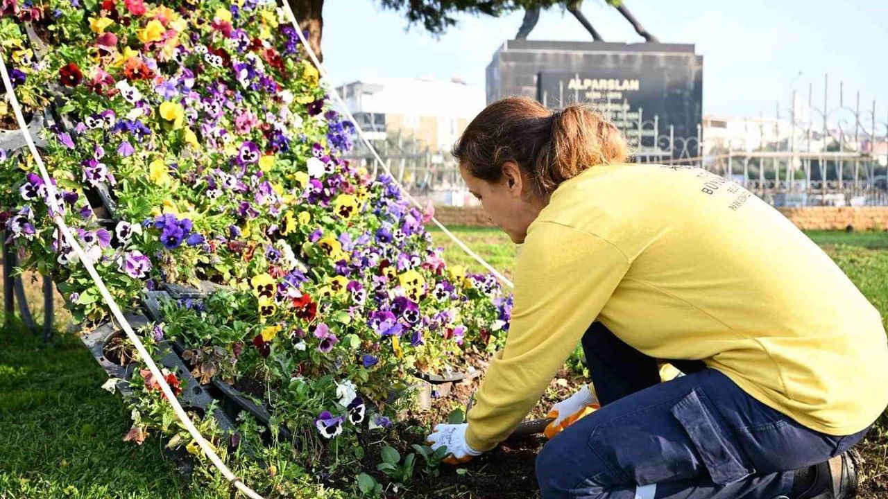 Aydın Büyükşehir Belediyesi Çevre Düzenleme Çalışmalarına Devam Ediyor