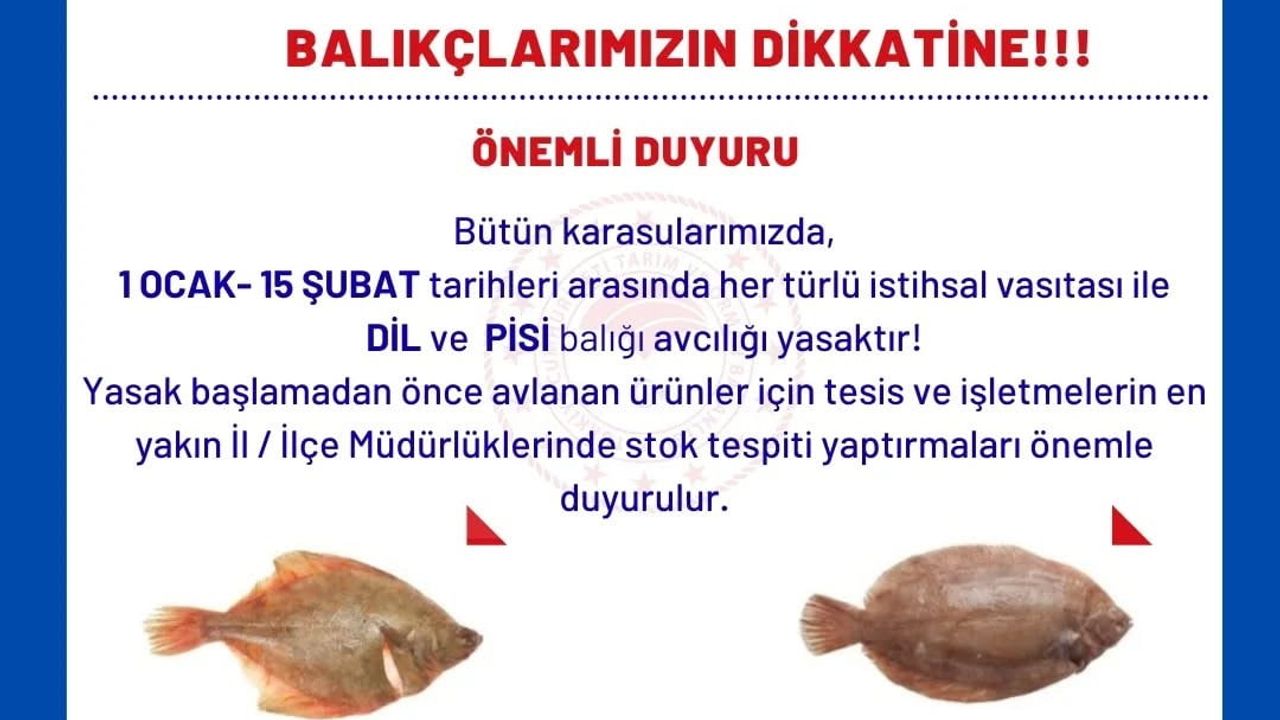 Aydın'da Balıkçılara Stok Tespiti Uyarısı