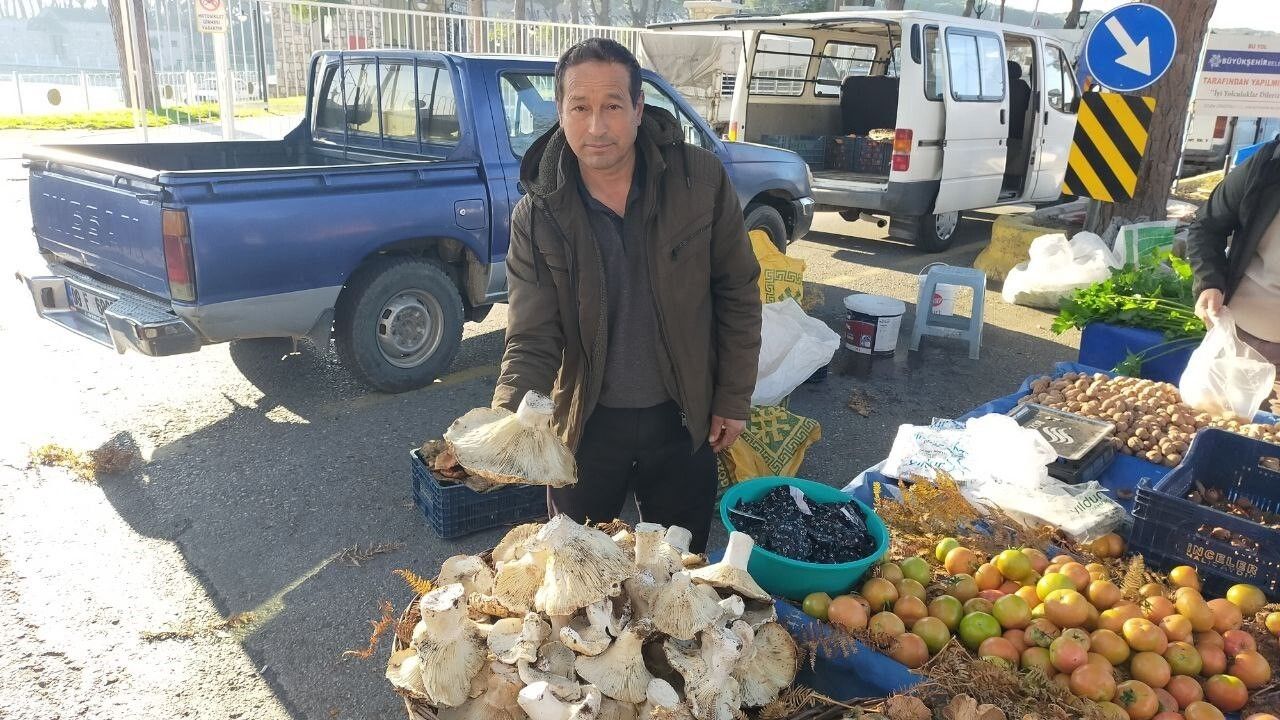 Aydın'da Dev Mantarlar Pazarda İlgi Odağı