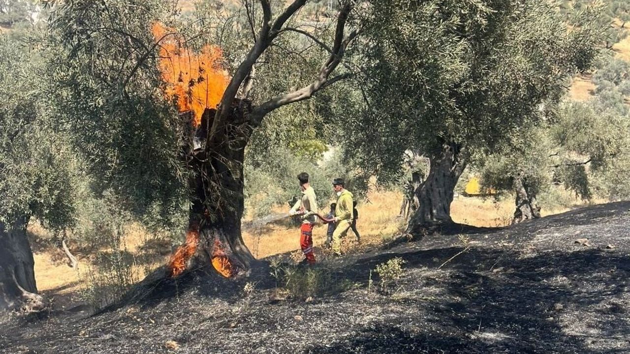 Aydın'da İtfaiye Ekiplerinin 2025 Performansı