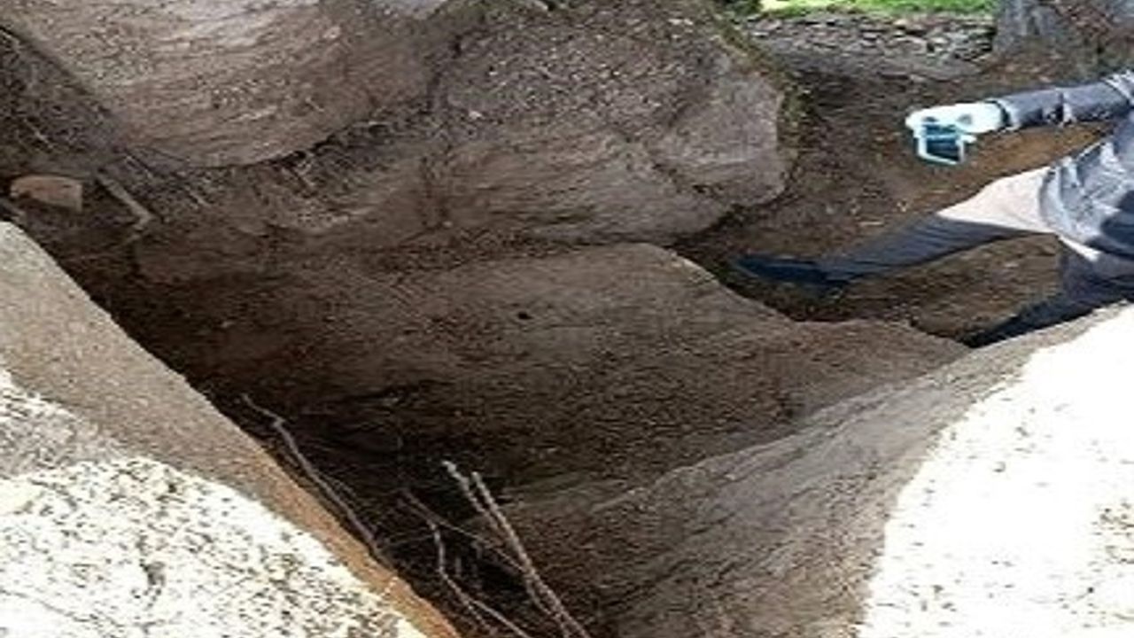 Aydın'da Kaçak Kazı Operasyonu: 4 Şüpheli Yakalandı