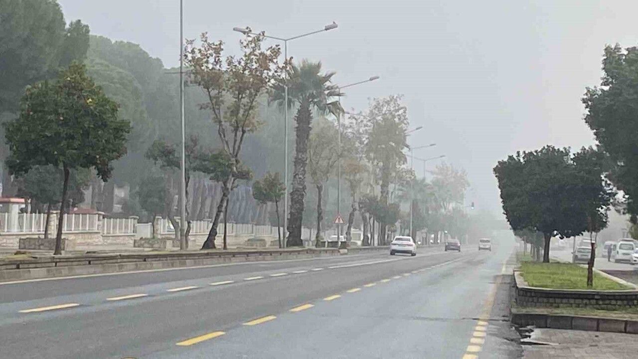 Aydın'da Puslu Sabahlara Dair Görüntüler