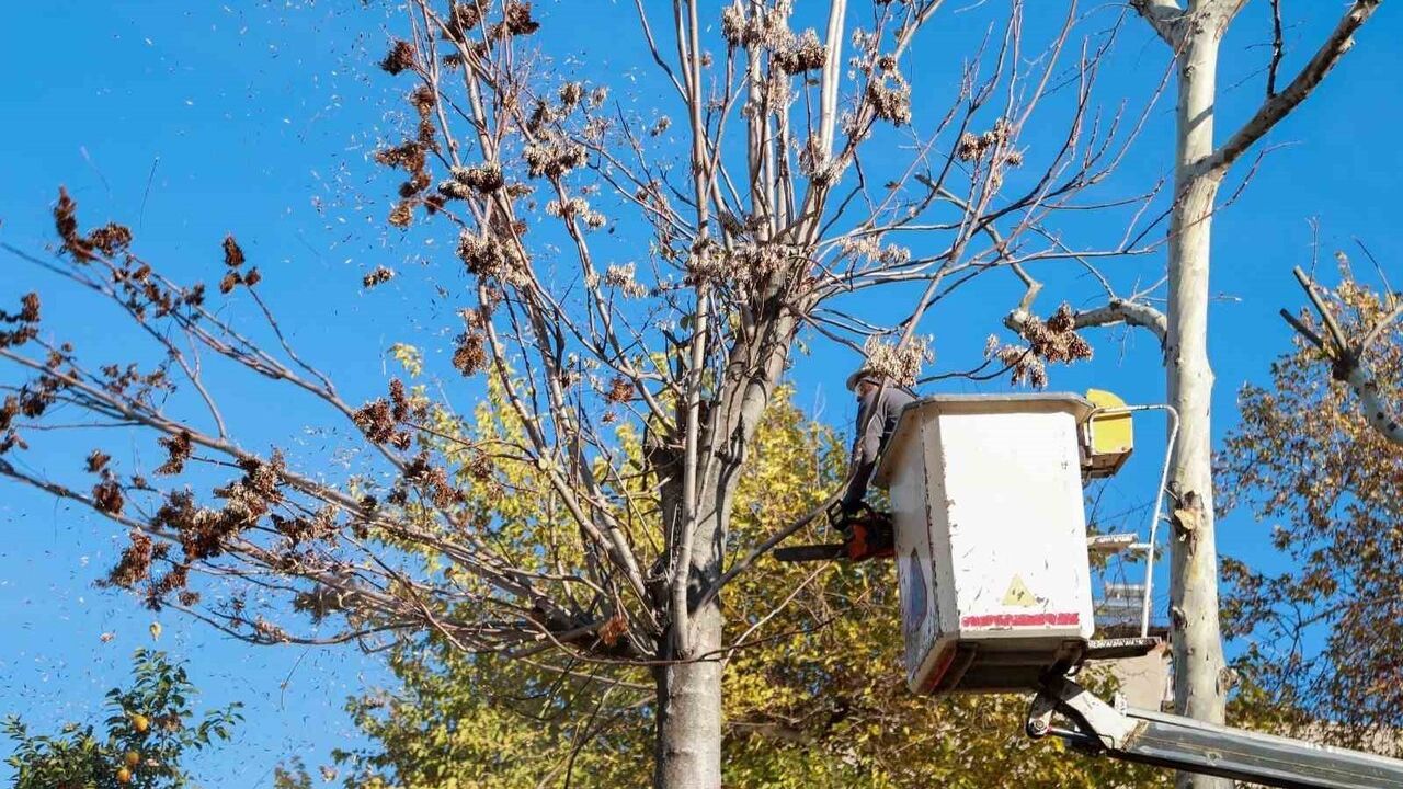 Aydın'daki Alihan Oğlu İsmail Türbesi Temizlendi