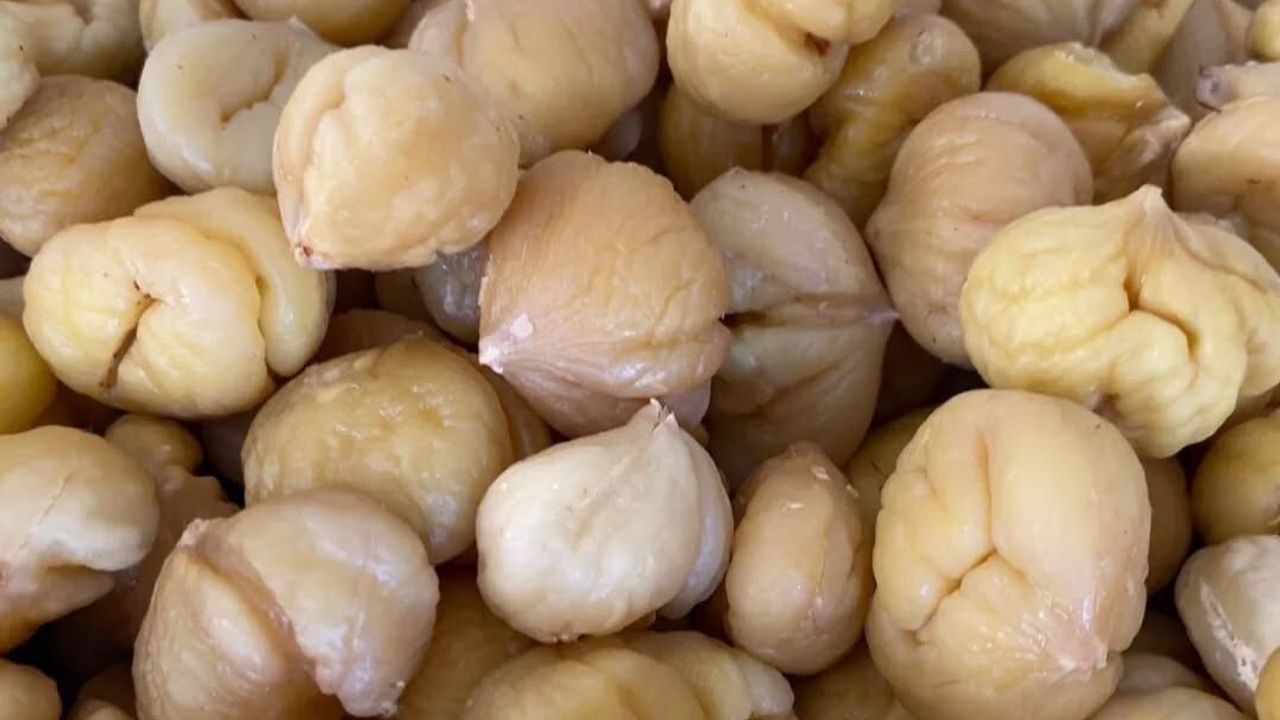 Aydın Kestanesi İhracata Hazırlanıyor