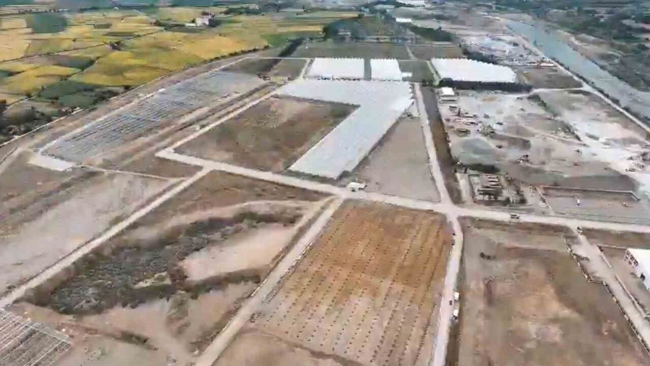 Bafra Sera Organize Tarım Bölgesi'nde 1500 Kişilik İstihdam Hedefi