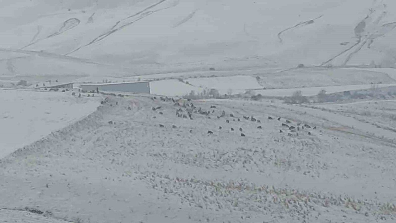 Bahçesaray'da Kar Yağışı Hayatı Olumsuz Etkiliyor