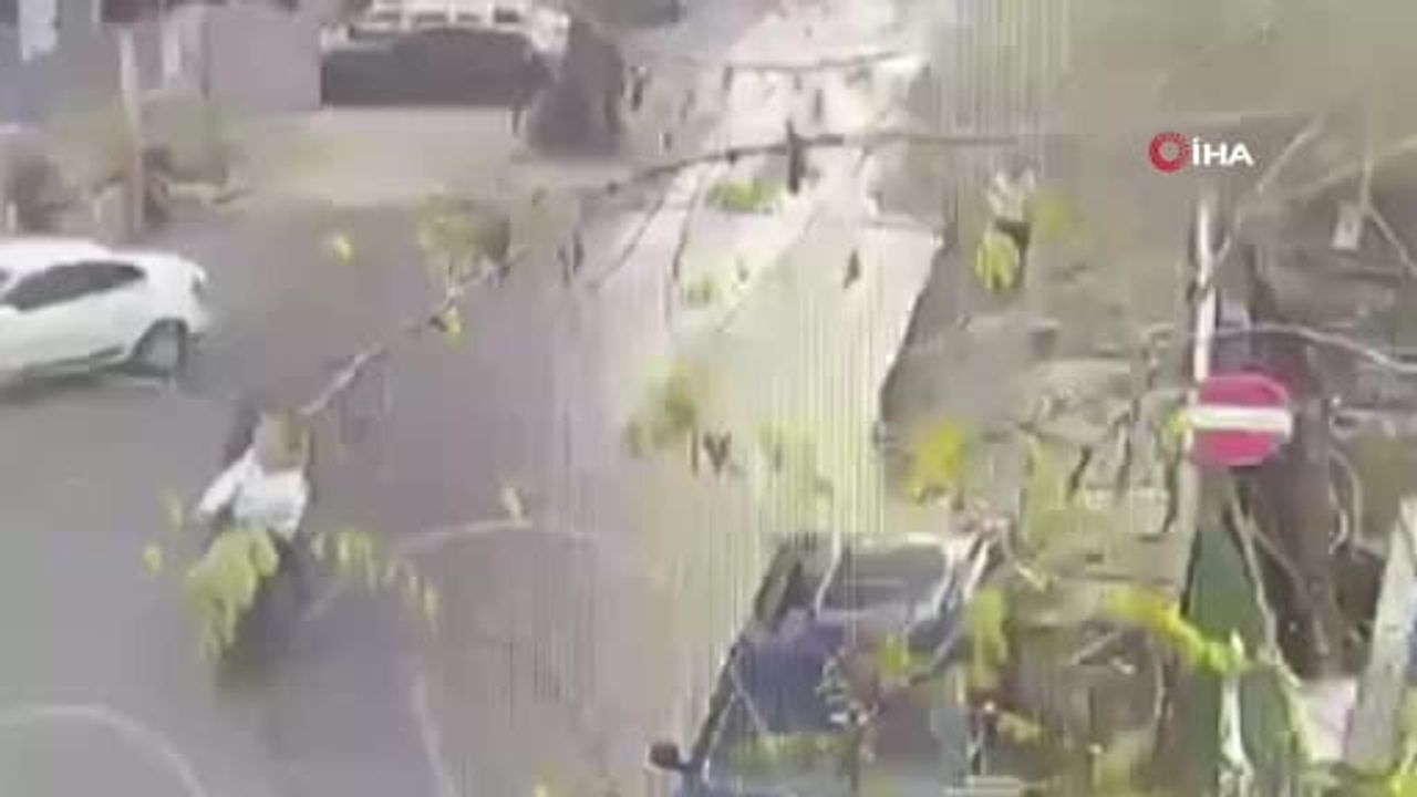 Bakırköy'deki cinayet soruşturmasında 7 tutuklama