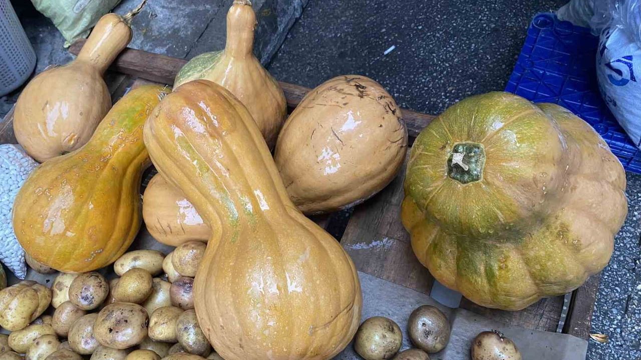 Bal Kabağı: Doğanın Şifa Kaynağı