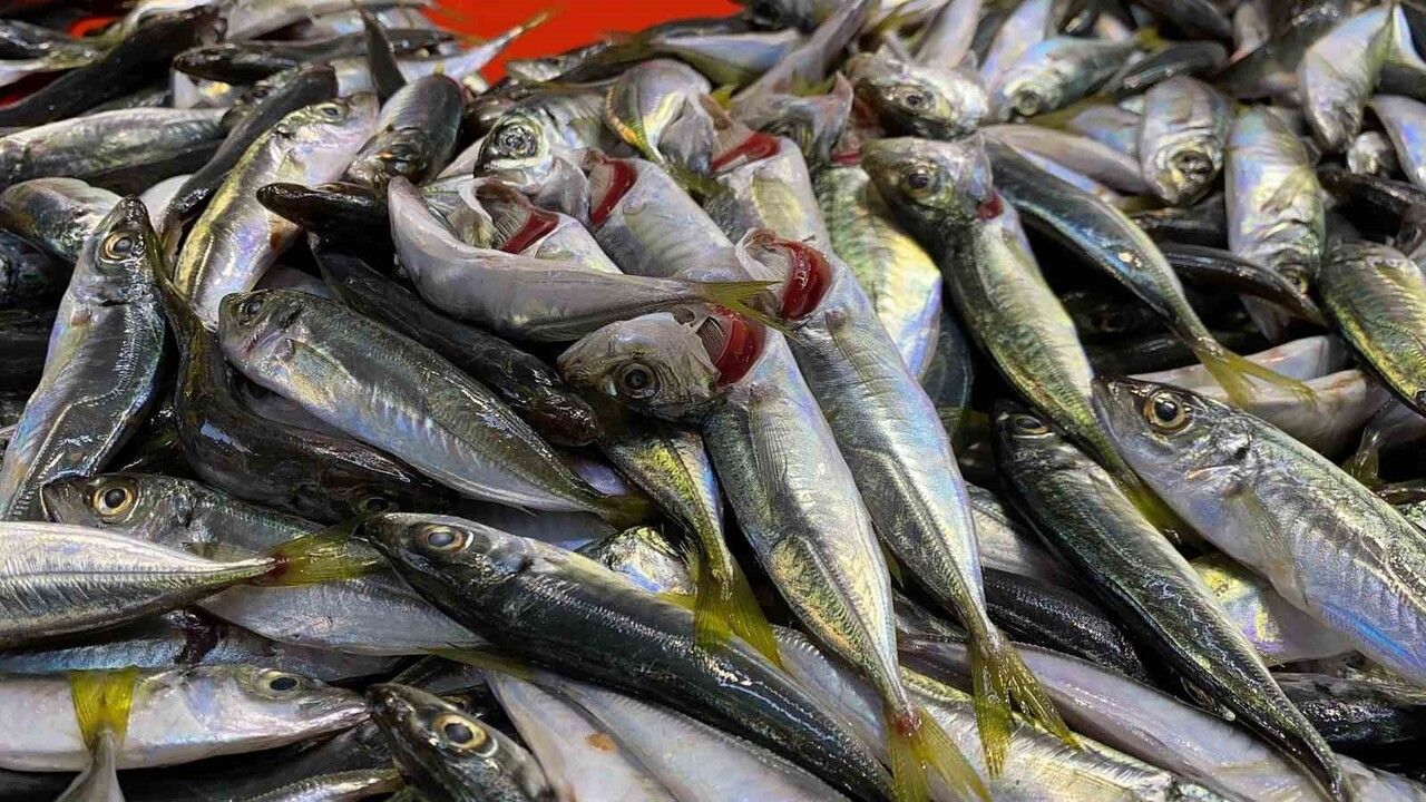 Balık Tazeliği Hakkında Yanlış Bilinenler