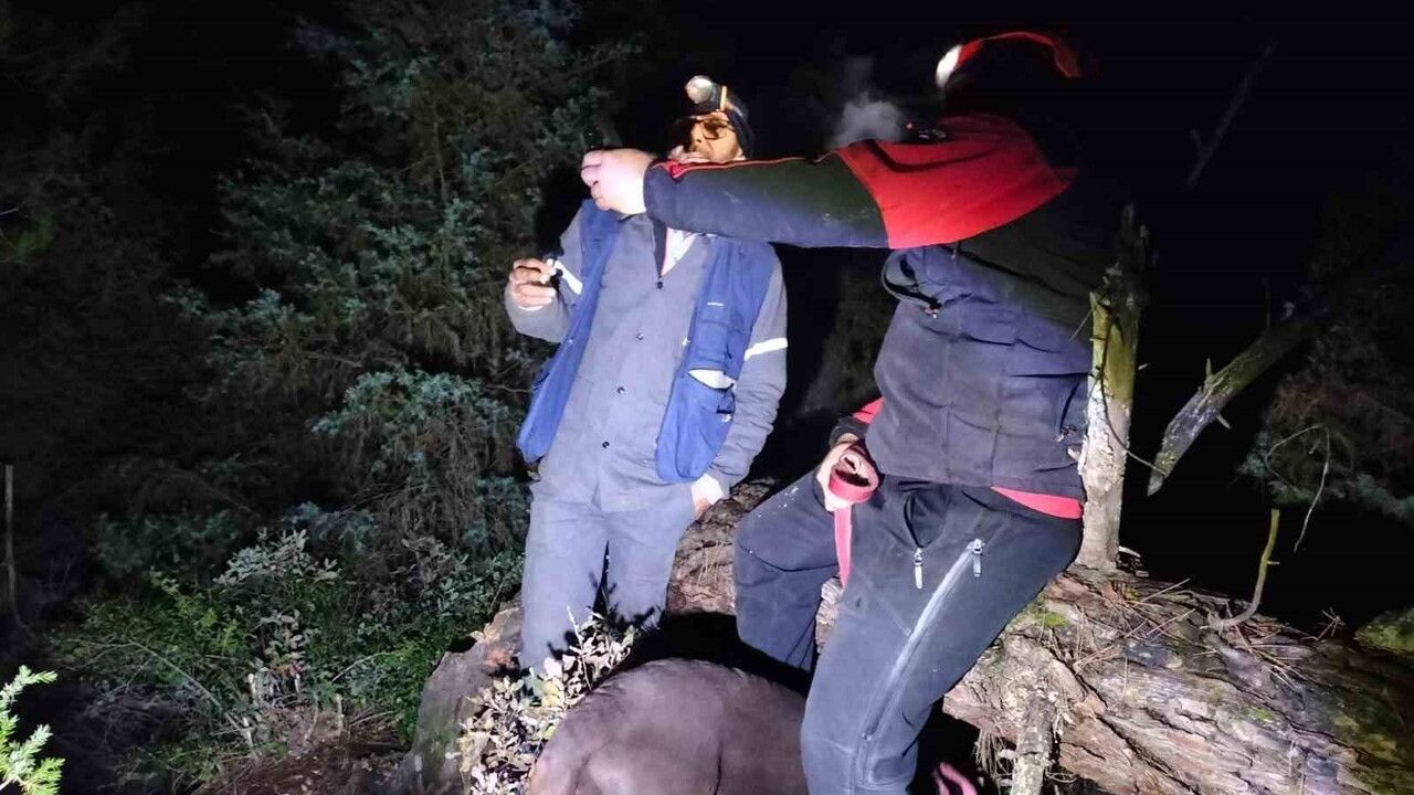 Balıkesir'de Mantar Ararken Kaybolan Yaşlı Adam Bulundu