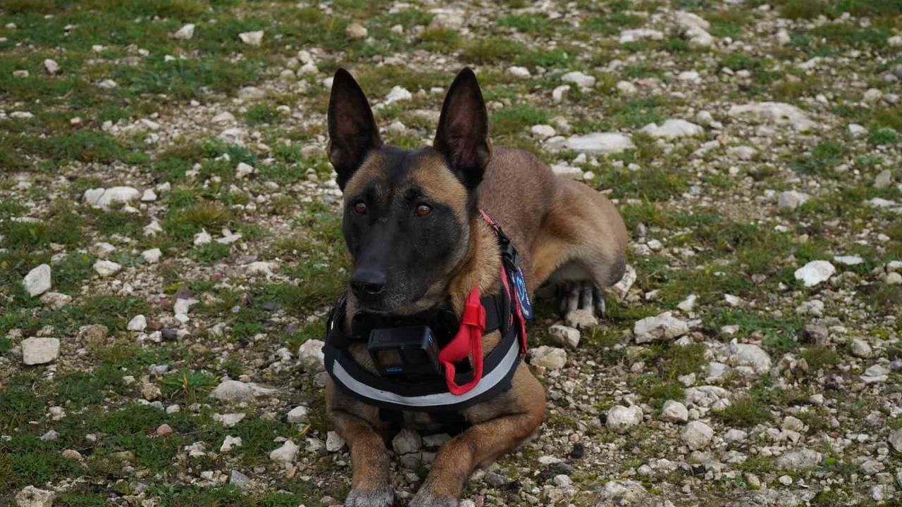 Balıkesir İtfaiyesi'ne Yeni Üye: K9 İda