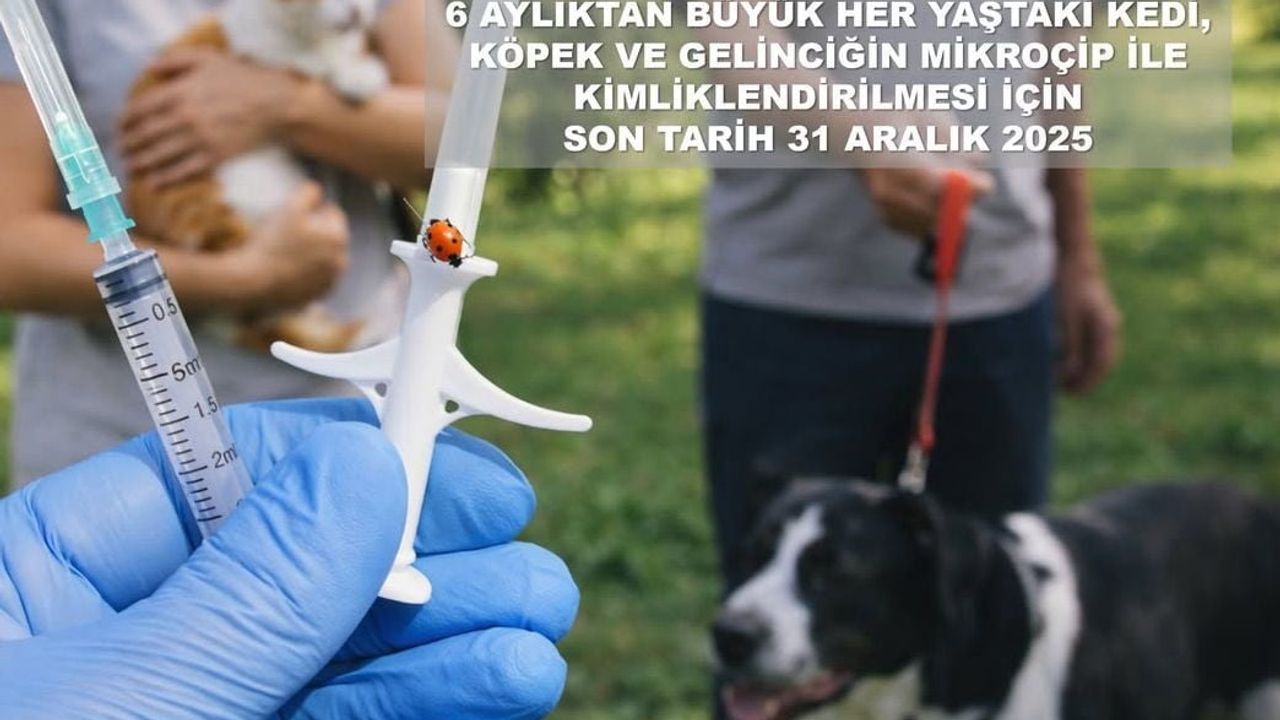Bartın Valiliği'nden Evcil Hayvan Sahiplerine Önemli Uyarı