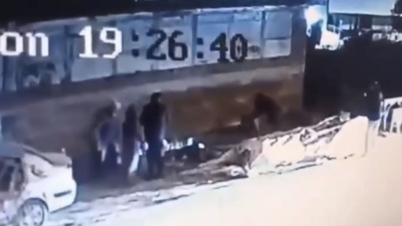 Başlıca Tehlike: Demirtaş'ta Saldırgan Başbuş Köpek