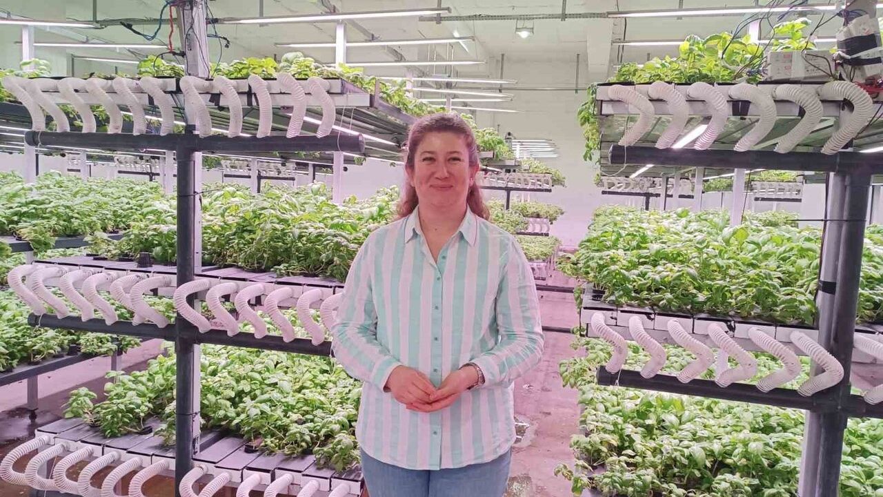 Batman'da Dikey Tarım Yatırımı: 30 Milyon TL Değerinde Yenilikçi Bir Proje