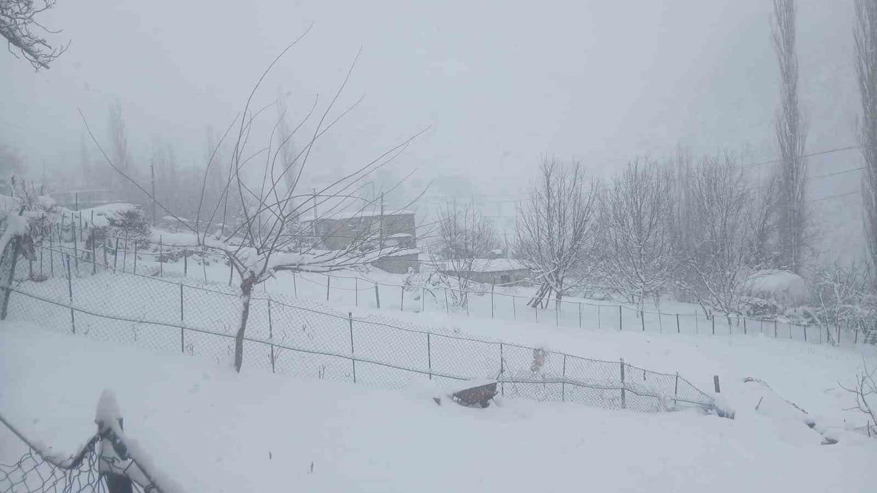 Batman'da Kar Yağışı Yaşamı Olumsuz Etkiledi