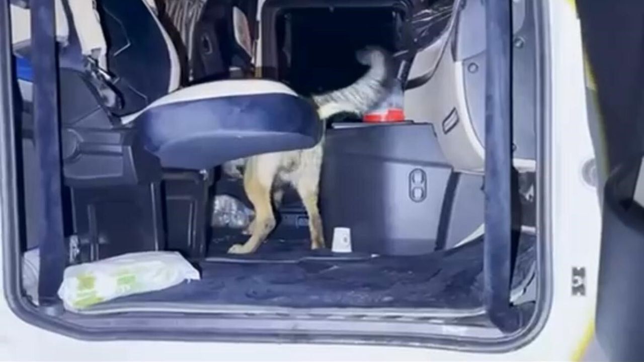 Batman’da Uyuşturucu Operasyonu: 37 Kilograma Yakın Uyuşturucu Ele Geçirildi