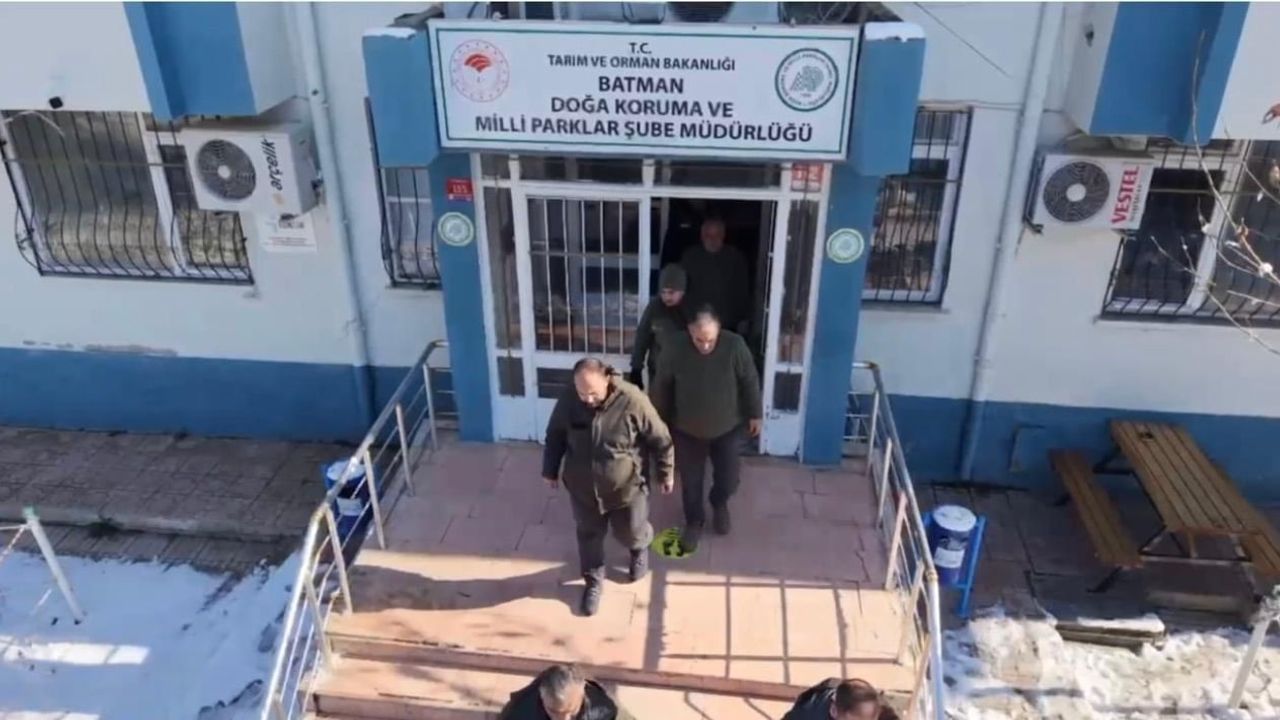 Batman’da Yaban Hayvanları İçin Yemleme Çalışması