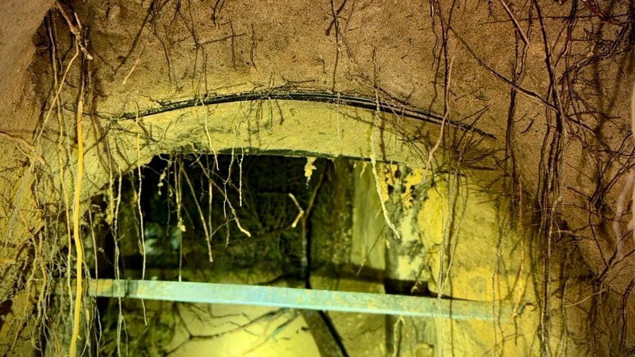 Belarus'tan Polonya'ya Kaçak Göçmen Geçişi