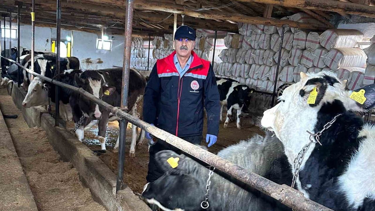 Beyşehir'de Hayvancılık Faaliyetleri Yakından İzleniyor