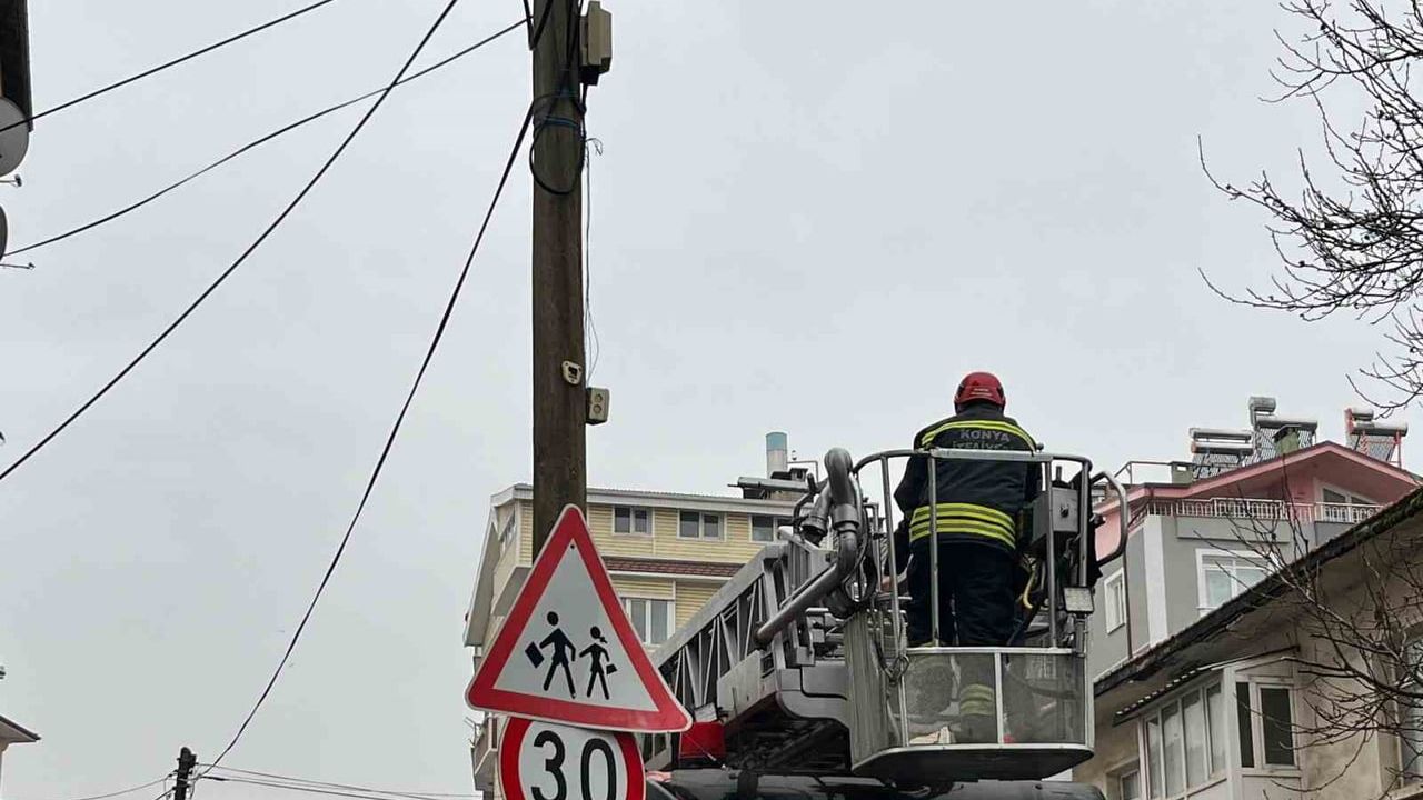 Beyşehir'de İtfaiye Kediyi Kurtardı
