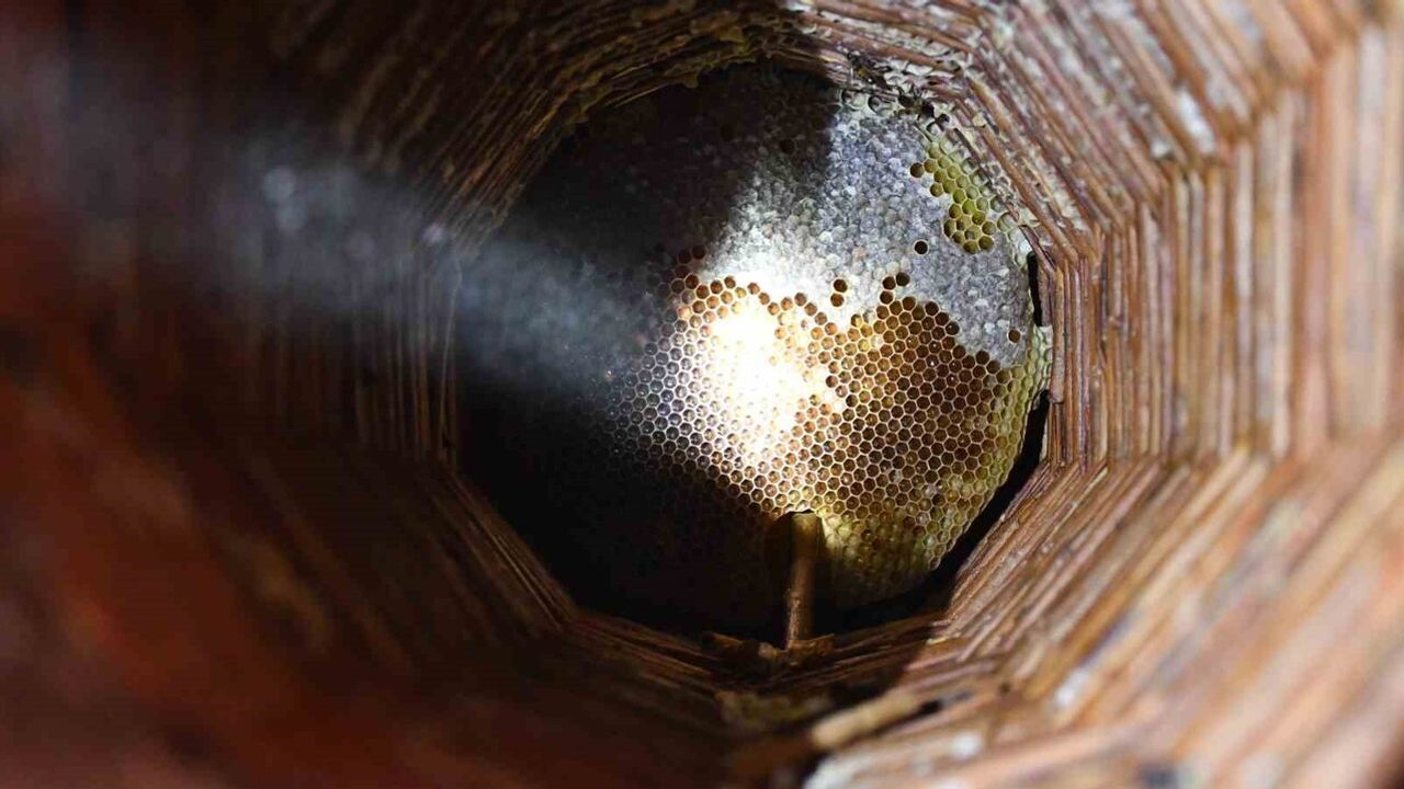 Beytüşşebap'ta Üretici Arıların Konforunu Sağlıyor