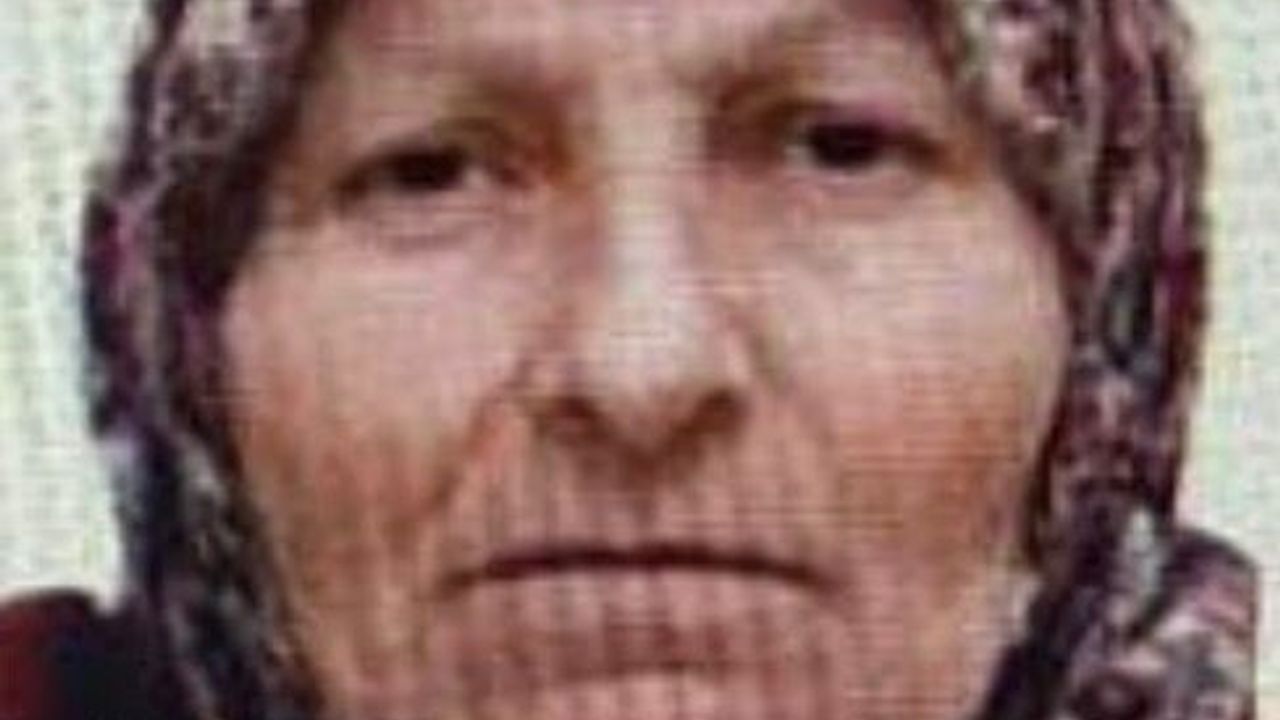 Bilecik'te Kayıp Yaşlı Kadın Jandarma Tarafından Bulundu