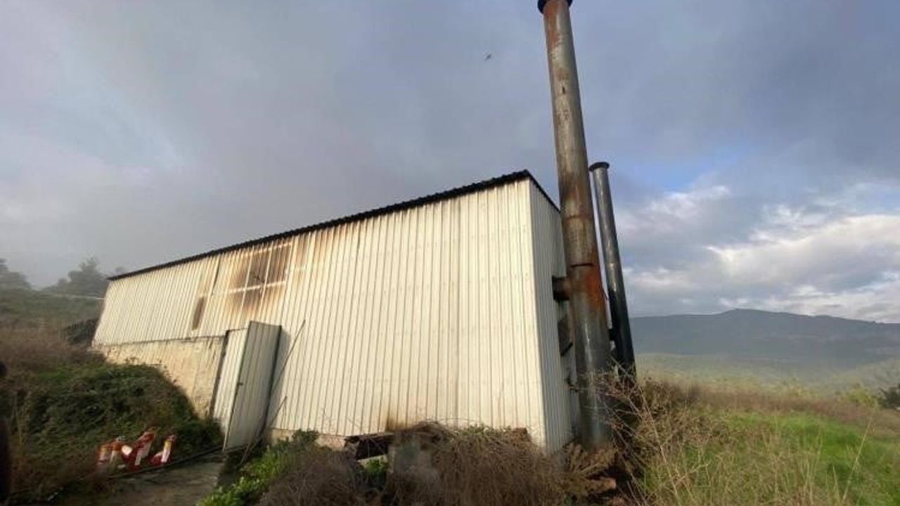 Bilecik'te Tavuk Çiftliğinde Yangın Korkuttu