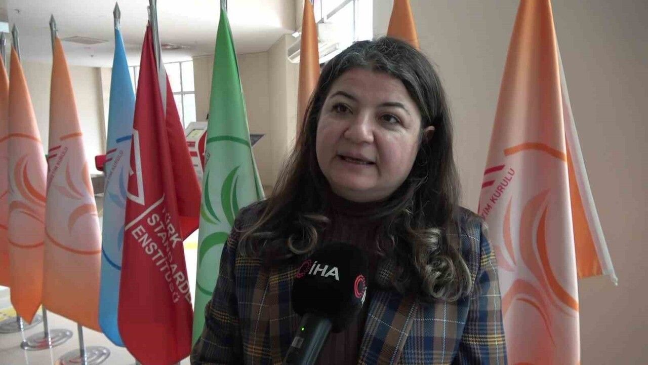 Bin Yıllık Merzifon Savaşı'nın Sırları Araştırılıyor