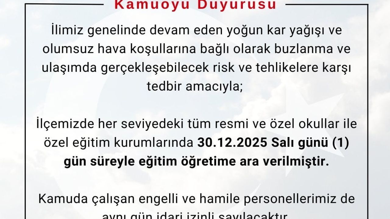 Bingöl’de Kar Tatili: 3 İlçede Eğitim Durduruldu