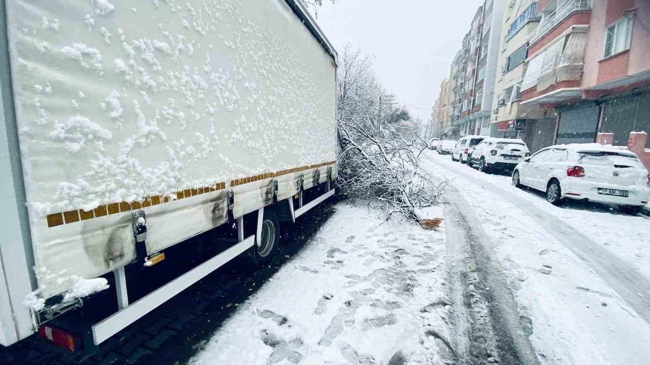 Birecik’te Kar Yağışı Nedeniyle Ağaç Dalları Araçların Üzerine Düştü