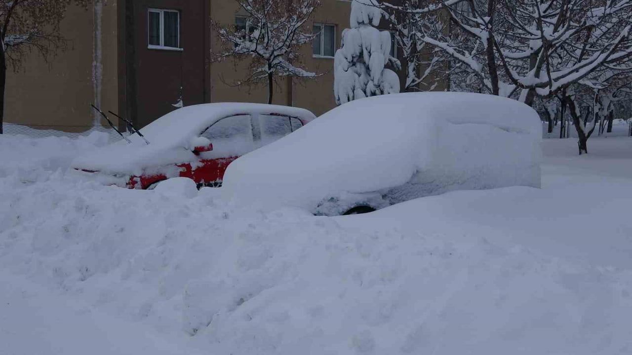 Bitlis'te 87 Köy Yolu Kapandı