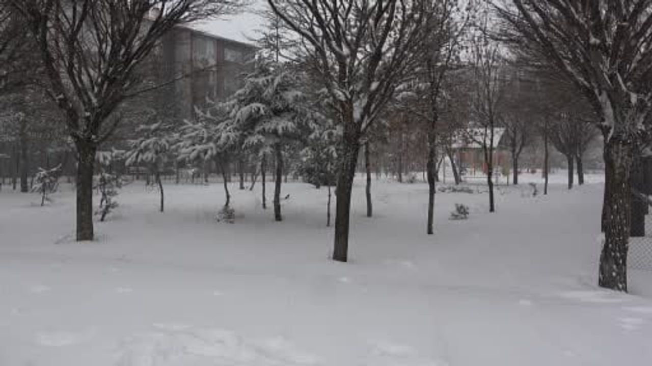 Bitlis'te Kar Yağışı 180 Köy Yolunu Kapattı