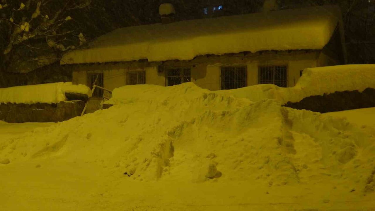 Bitlis'te Yoğun Kar Yağışı Hayatı Olumsuz Etkiliyor