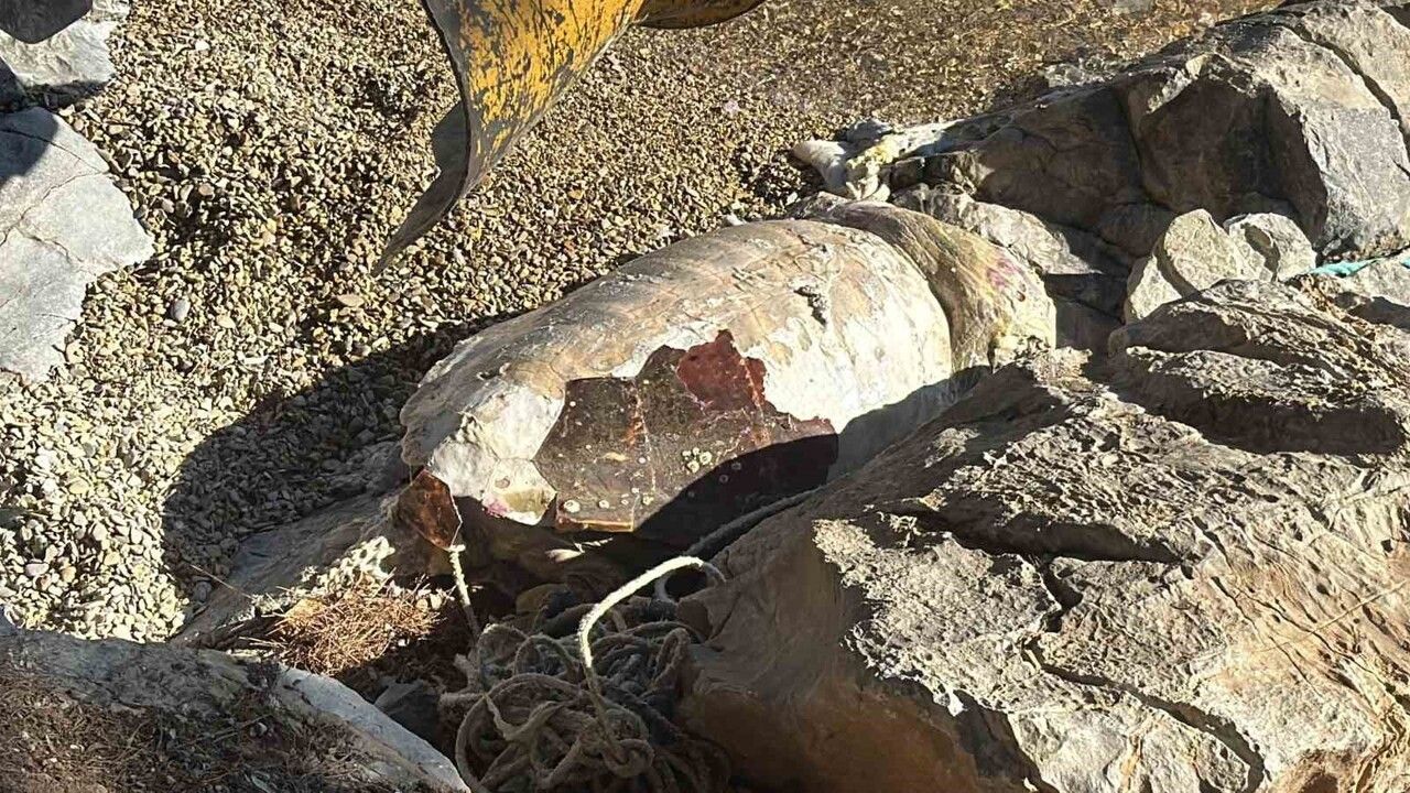 Bodrum'daki Yok Olmuş Caretta Caretta Vinçle Kurtarıldı