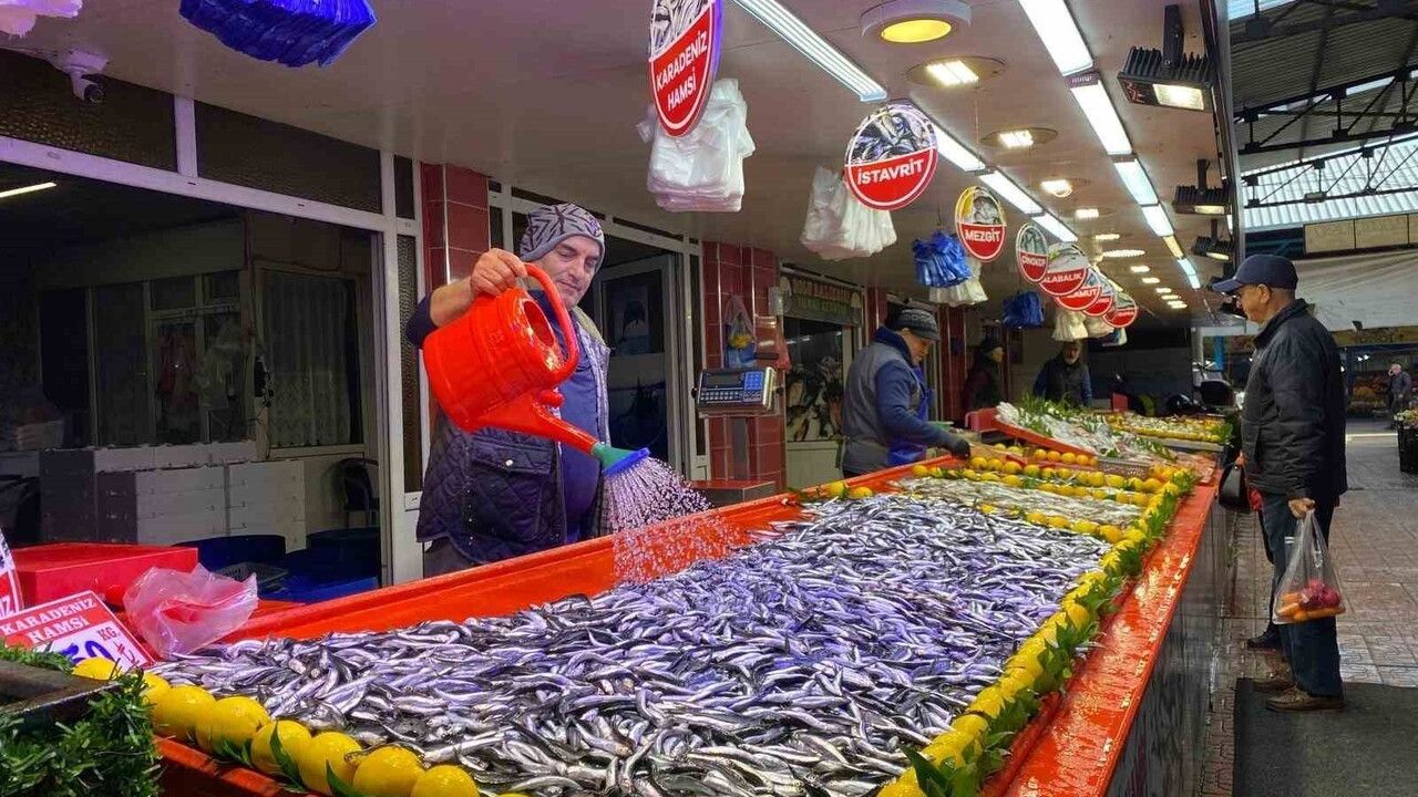 Bolu'da Hamsi Fiyatları Düşüşte