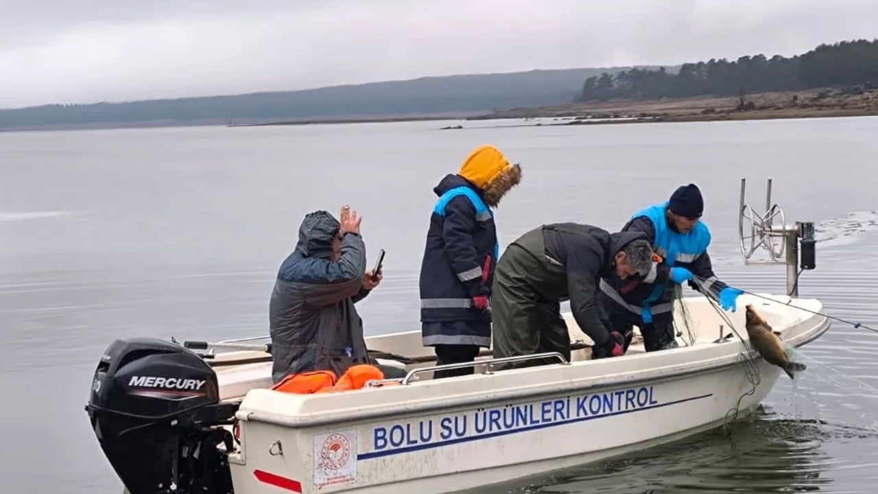 Bolu'da Kaçak Avcıların Yakalanması ve 500 Metrelik Ağın Ele Geçirilmesi